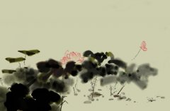 PP背膠戶外PP膠